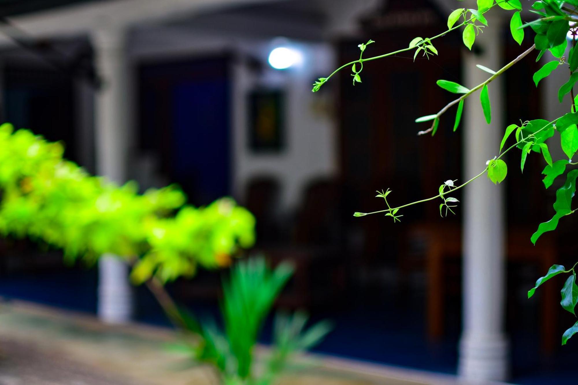 Tourist Holiday Inn Dambulla Dış mekan fotoğraf